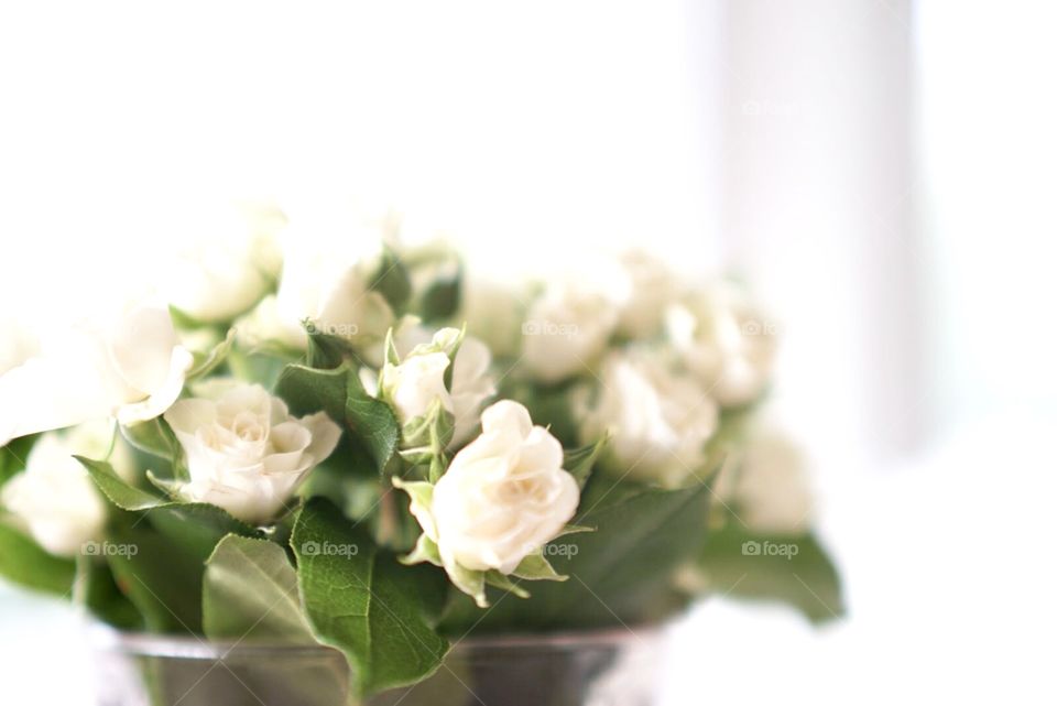 Bouquet of white small roses 