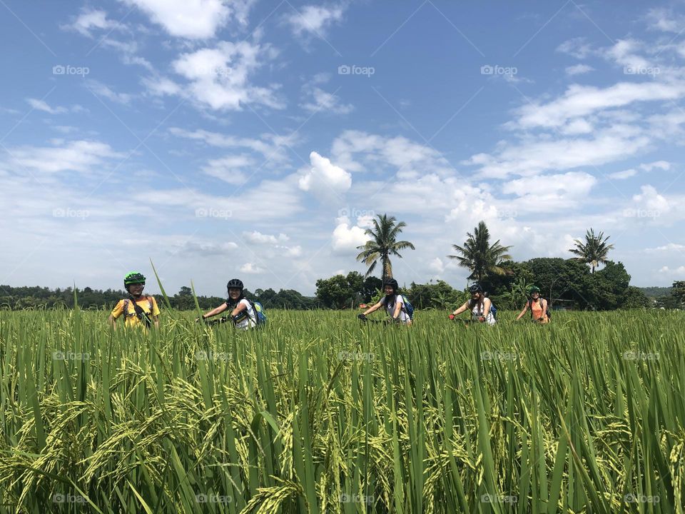 Cycling in the field 