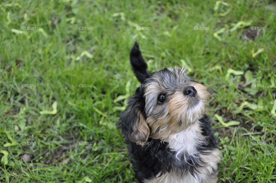 What is that noise ?