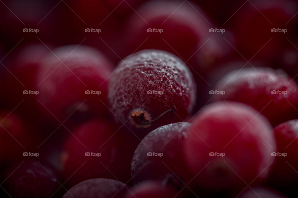 Close up of frozen cranberries 