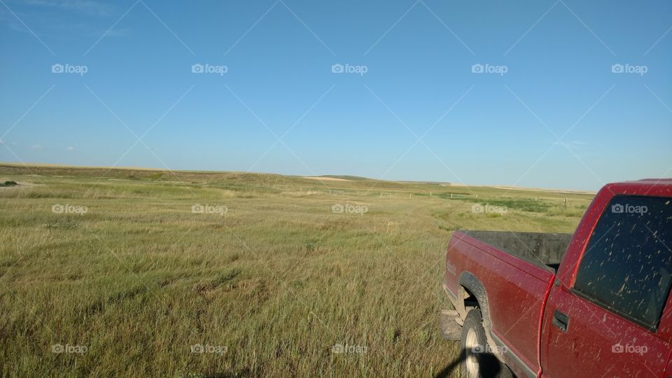 Landscape, No Person, Outdoors, Sky, Cropland