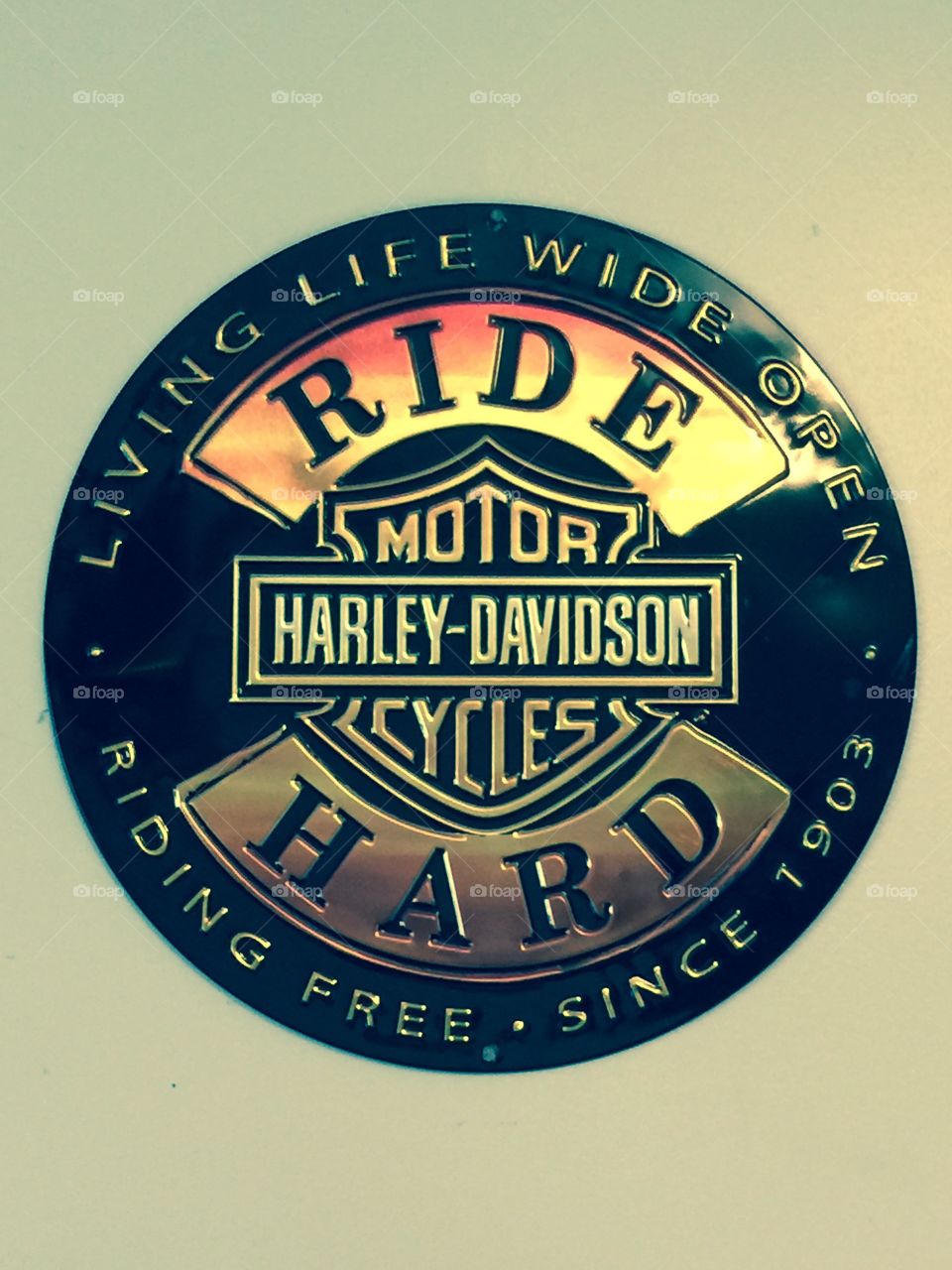 Love for Harley. Harley Davidson