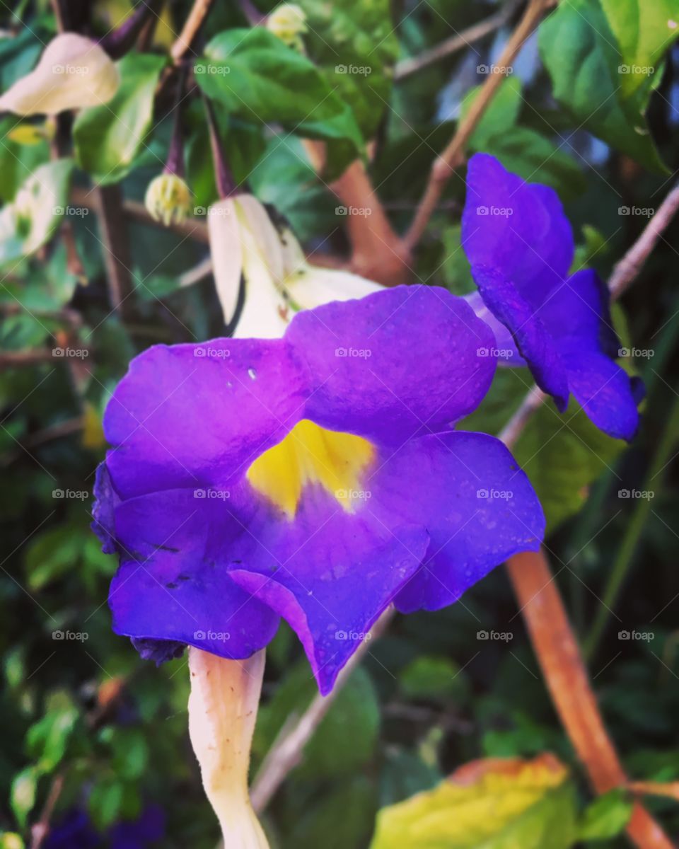 🌺Fim de #cooper!
Suado, cansado e feliz, alongando e curtindo a beleza das #flores (clique de outro dia).
🏁 🙆‍♂️ 
#corrida #treino #flor #flower #flowers #pétalas #pétala #jardim #jardinagem #garden #flora #run #running #esporte #alongamento