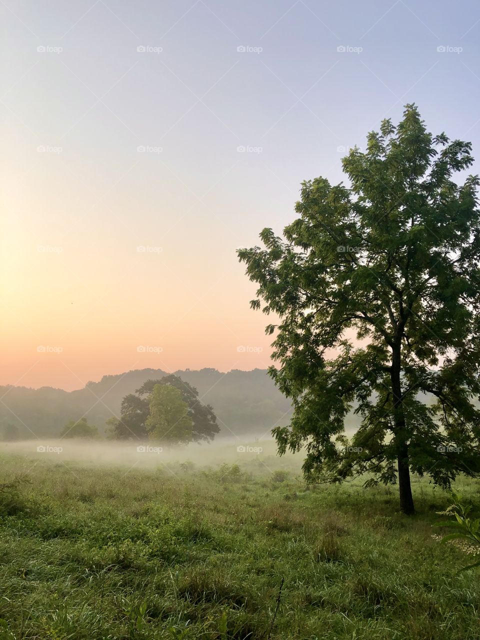 Harmony Ranch early morning 