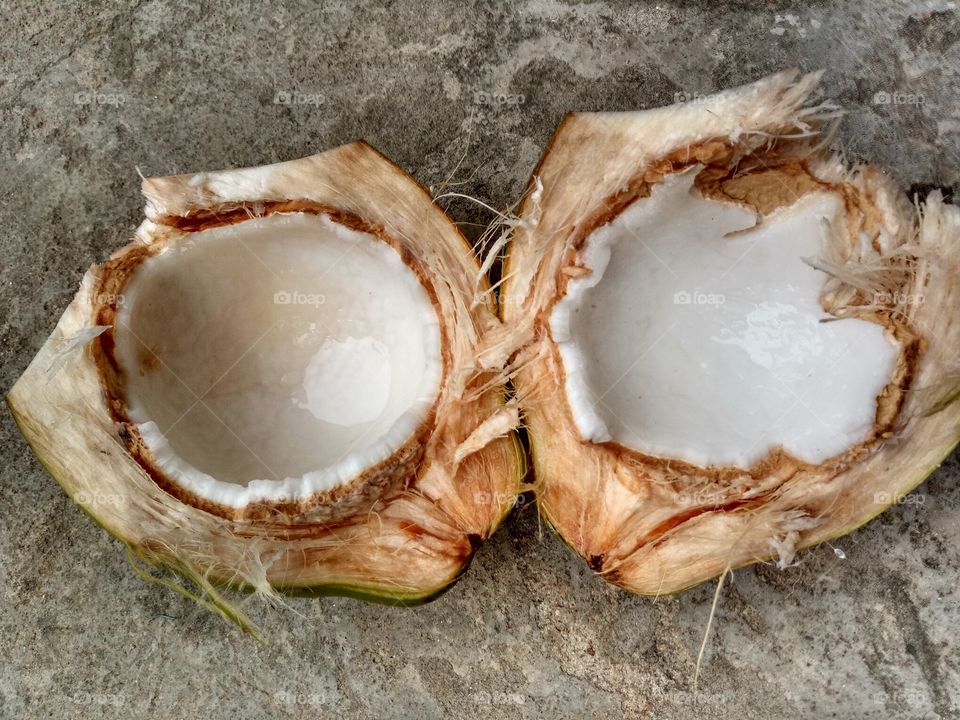fruit coconut