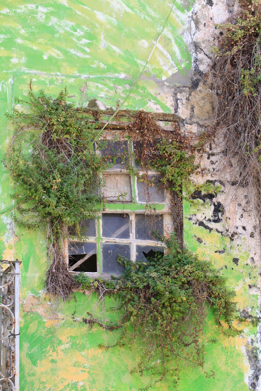 Abandoned window 