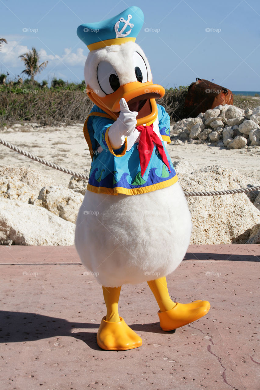 Donald duck on the beach of Cape Canaveral in Orlando, Florida