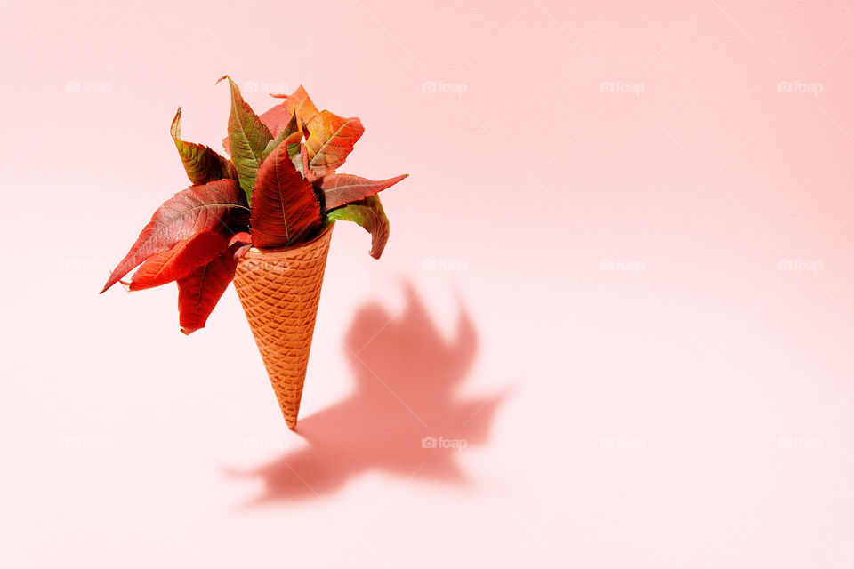 Creative concept of ice cream cone with autumn leaves