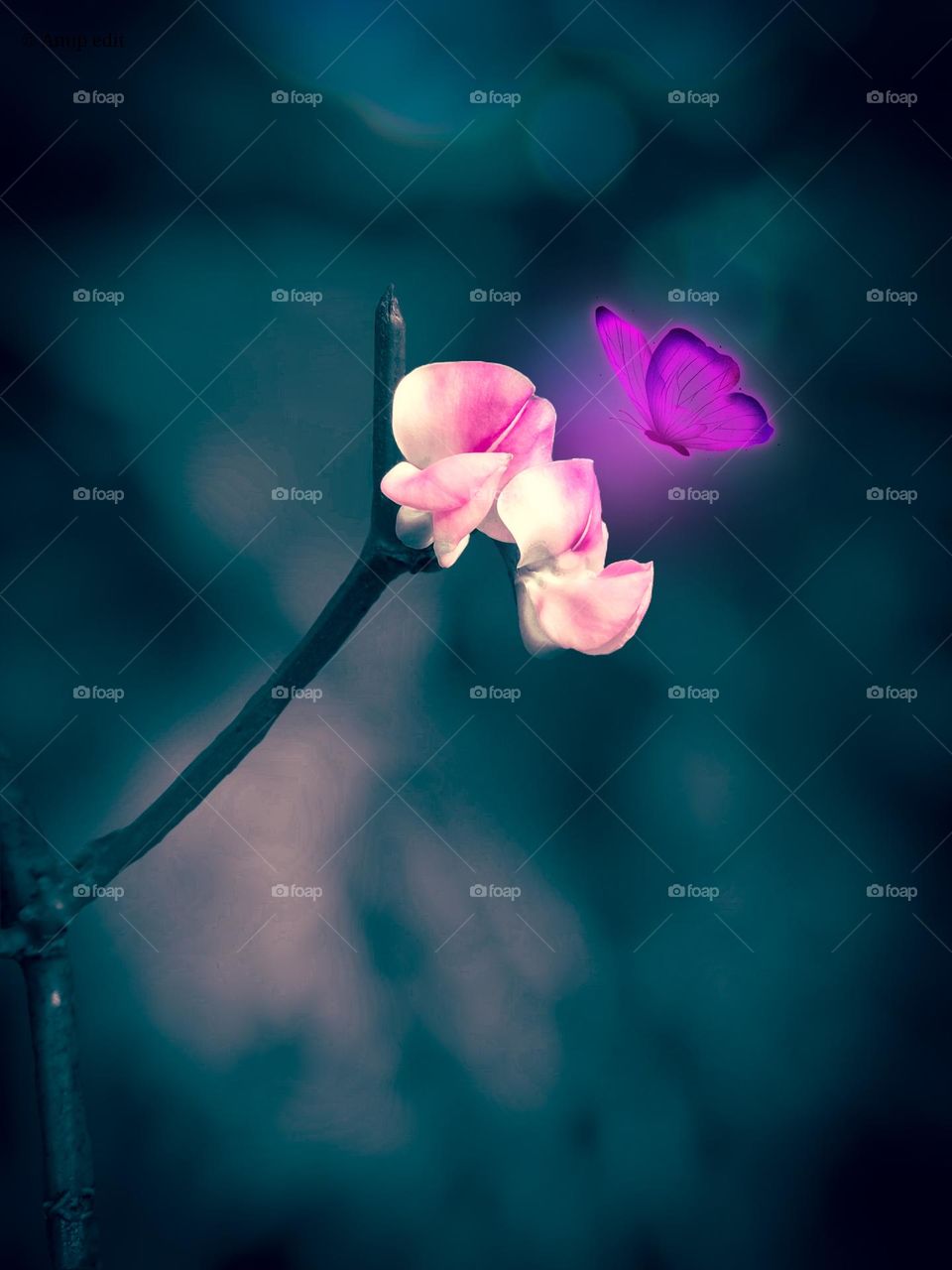 Nature photography editing