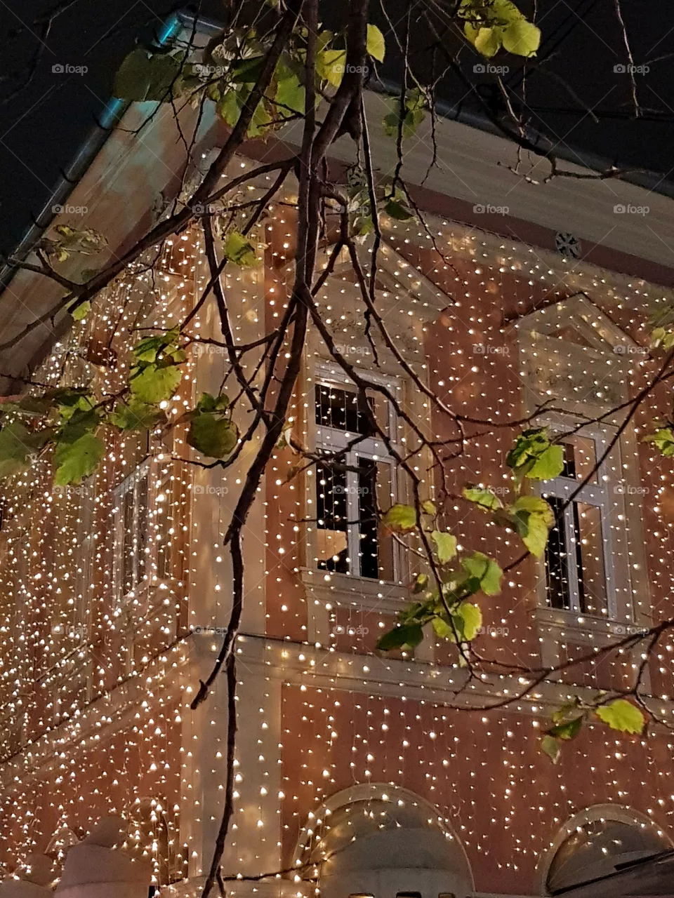 stars