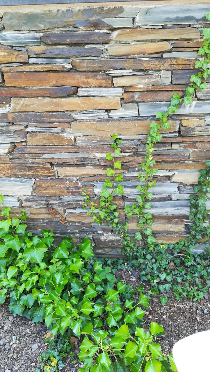 Stone wall with green