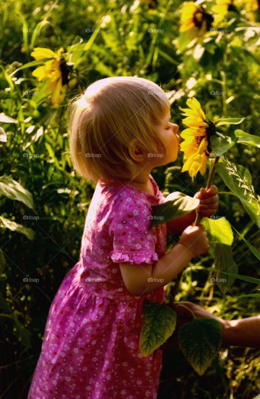 Little girl smelling sunflower