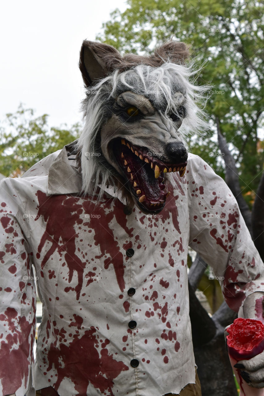 Bloody werewolf Halloween decoration