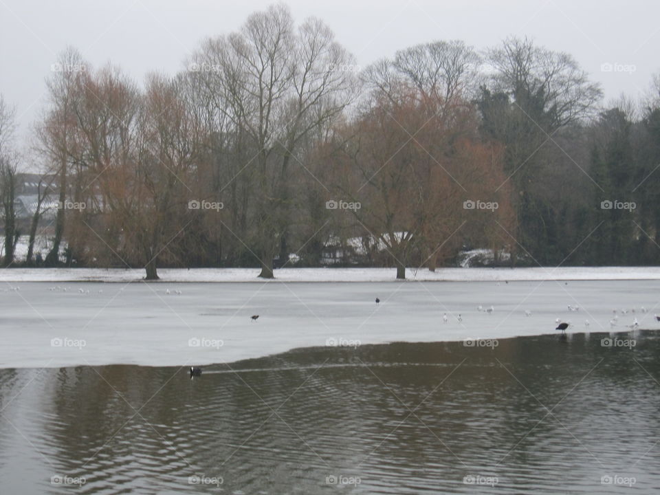 Frozen Lake