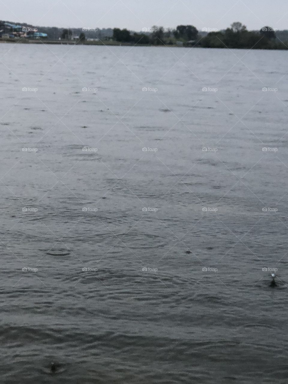 Raindrops on the water