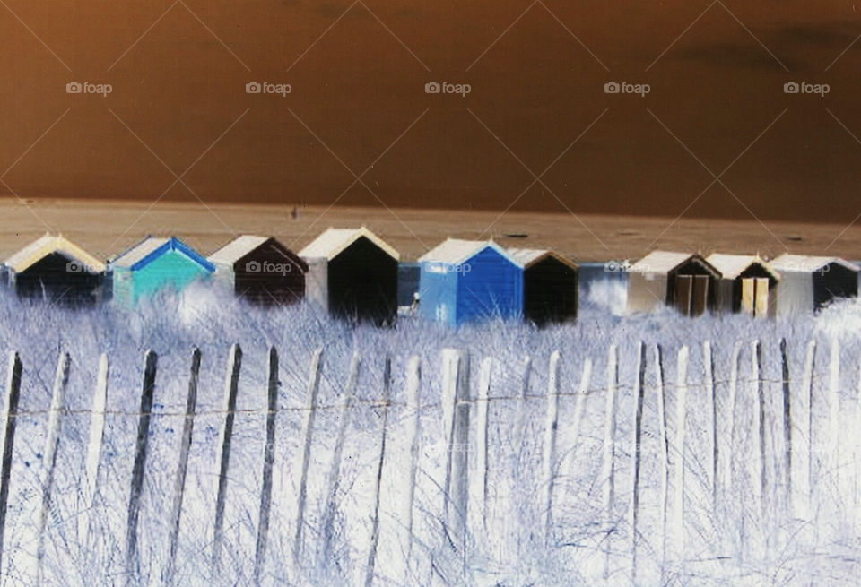 Wood, Winter, Snow, Family, No Person