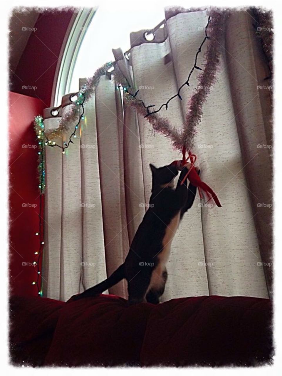 People, Woman, Wear, One, Adult