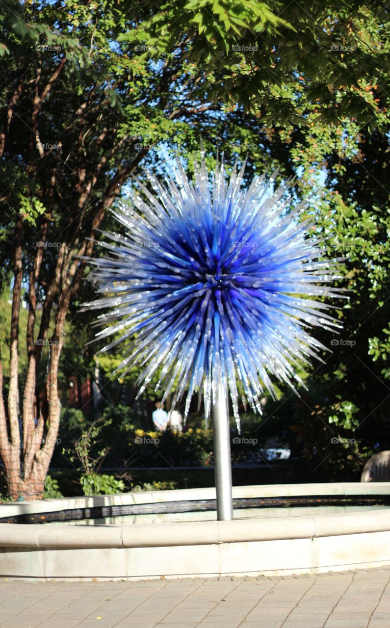 Chihuly in urban park in Atlanta 