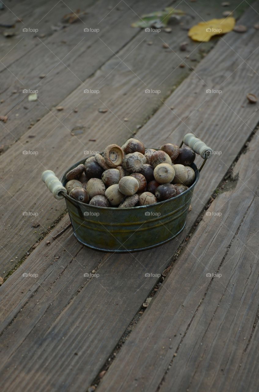 A rustic retro style old period  miniature tub full of acorns is left behind on park steps after a collection of them.