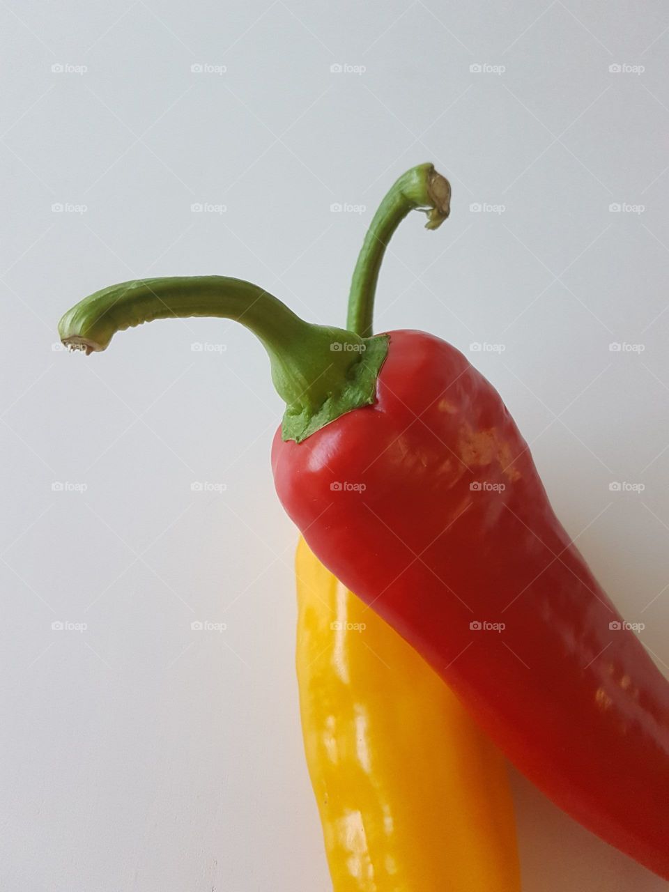 clash of colour mission