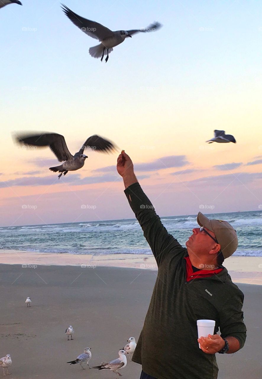 Bird, Beach, Water, People, Seagulls