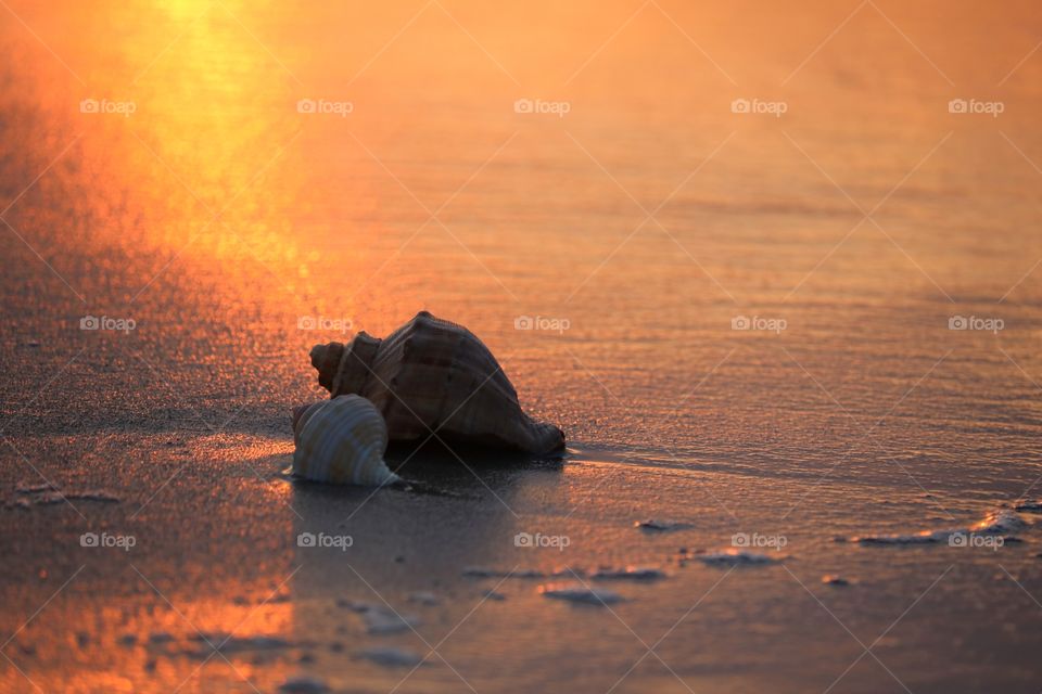 Beach sunrise