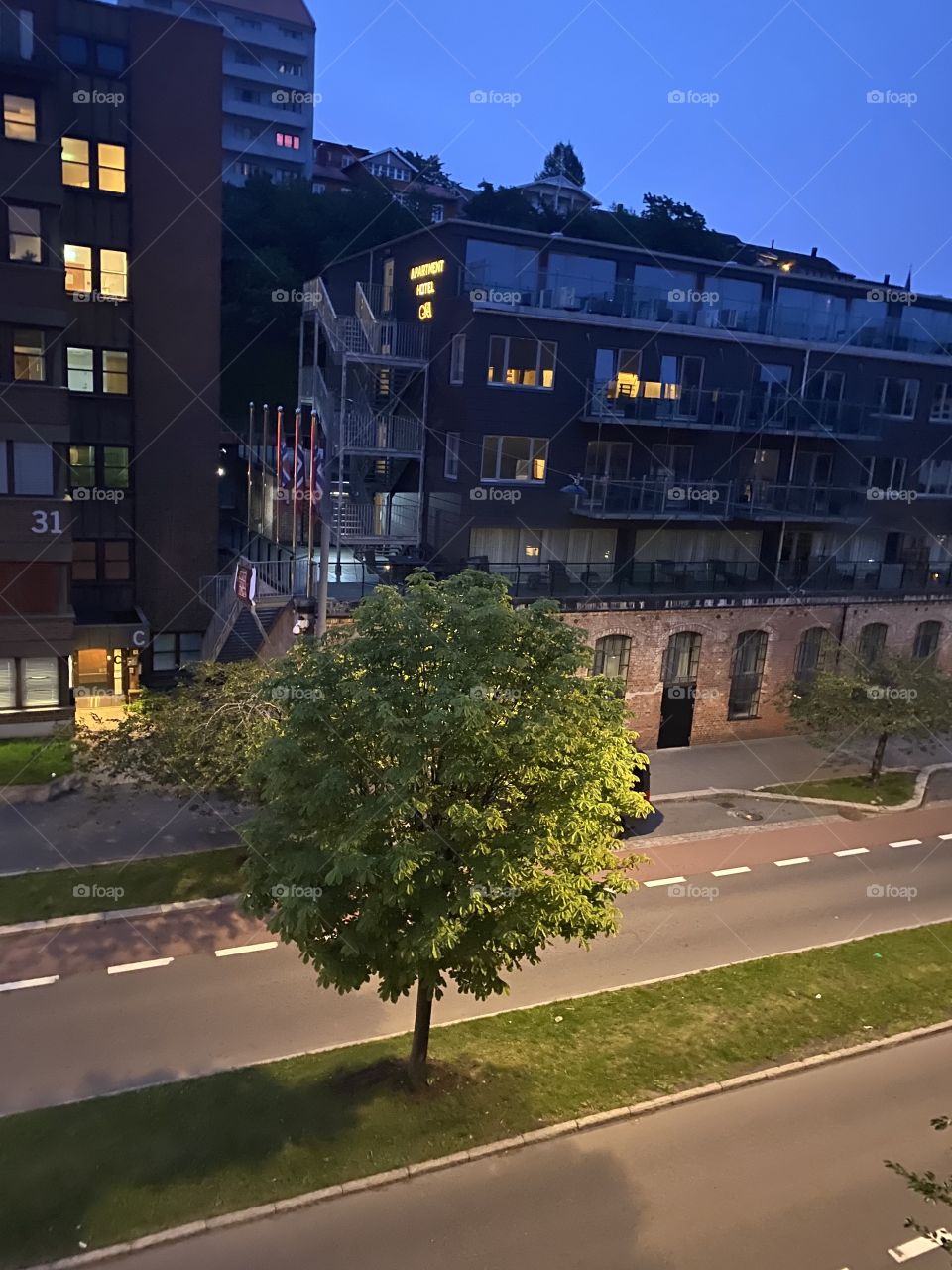 Shadows in The night 