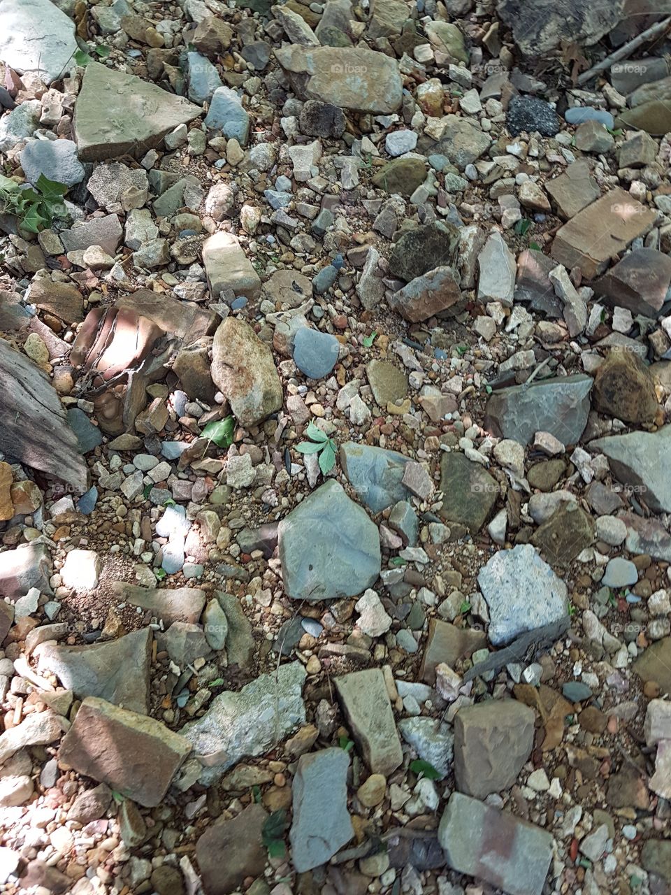 Eclectic collection of colorful rocks in dry creekbed with scattered green plants poking through.