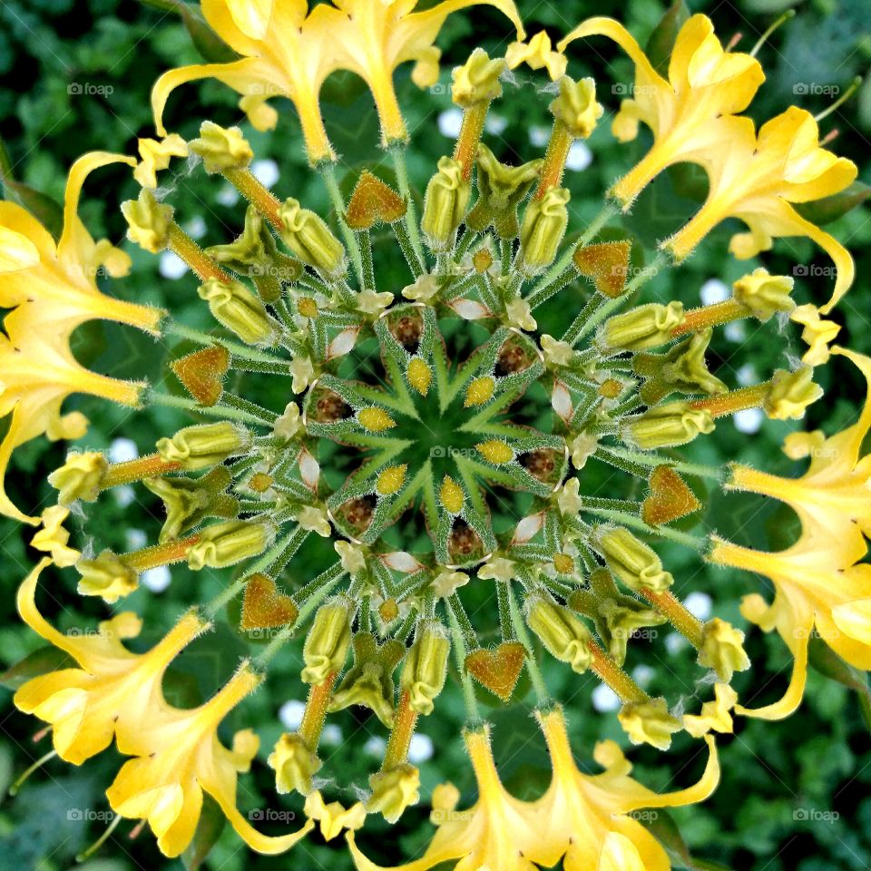 yellow green wheel mandala