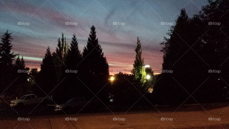 sunset through the trees