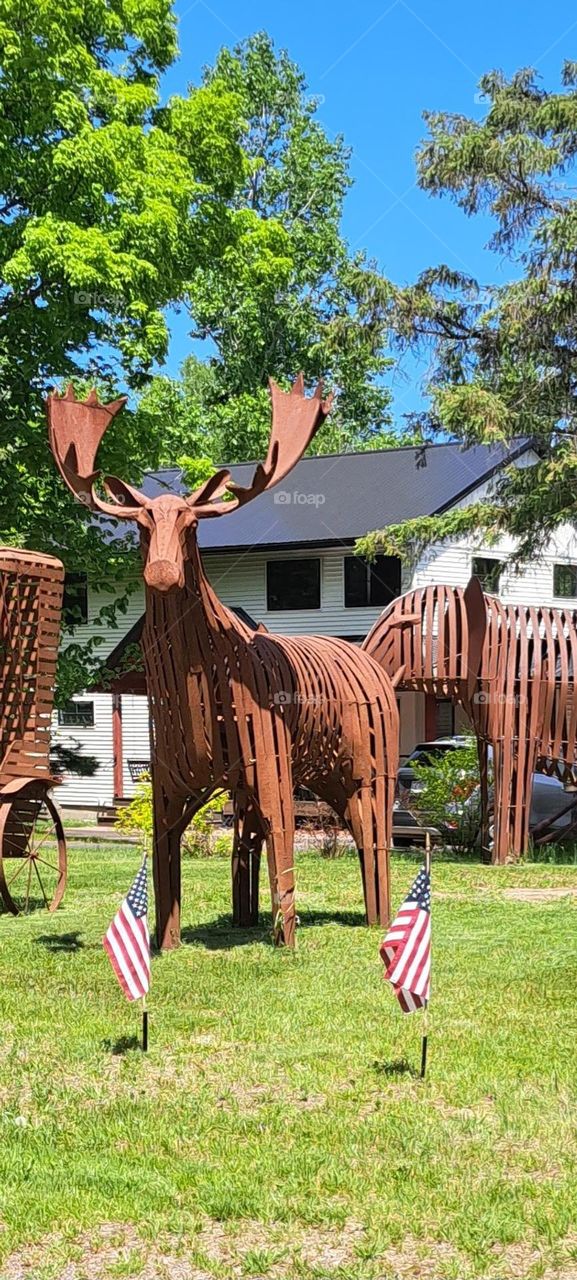 Rustic Moose
