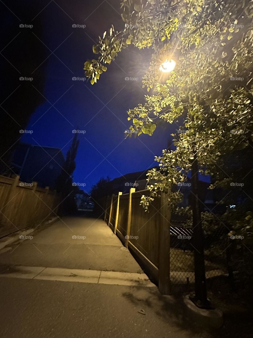 Walk path at night 