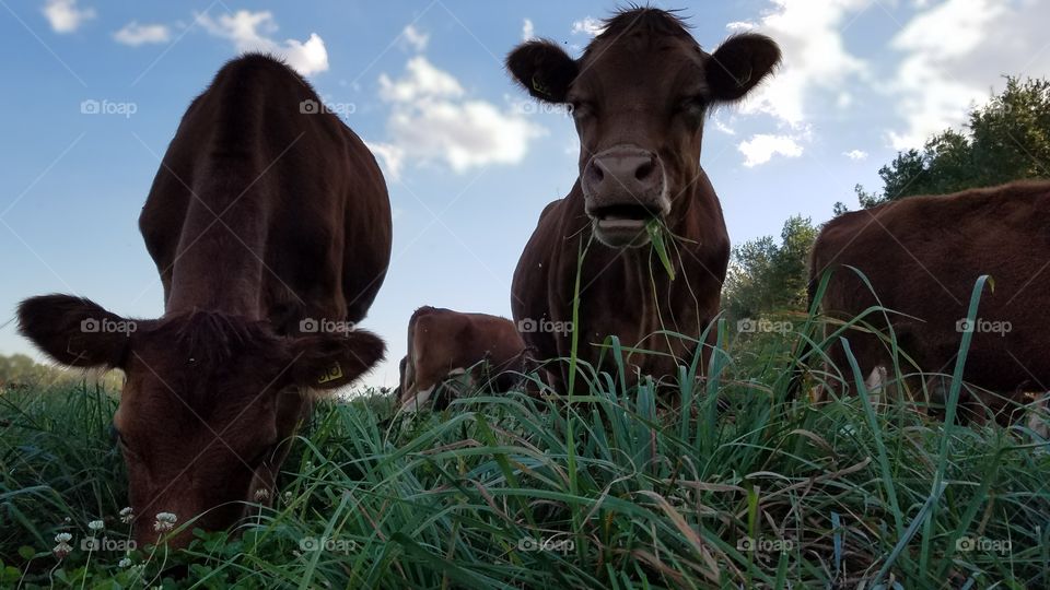 girls grabbing a bit of grass