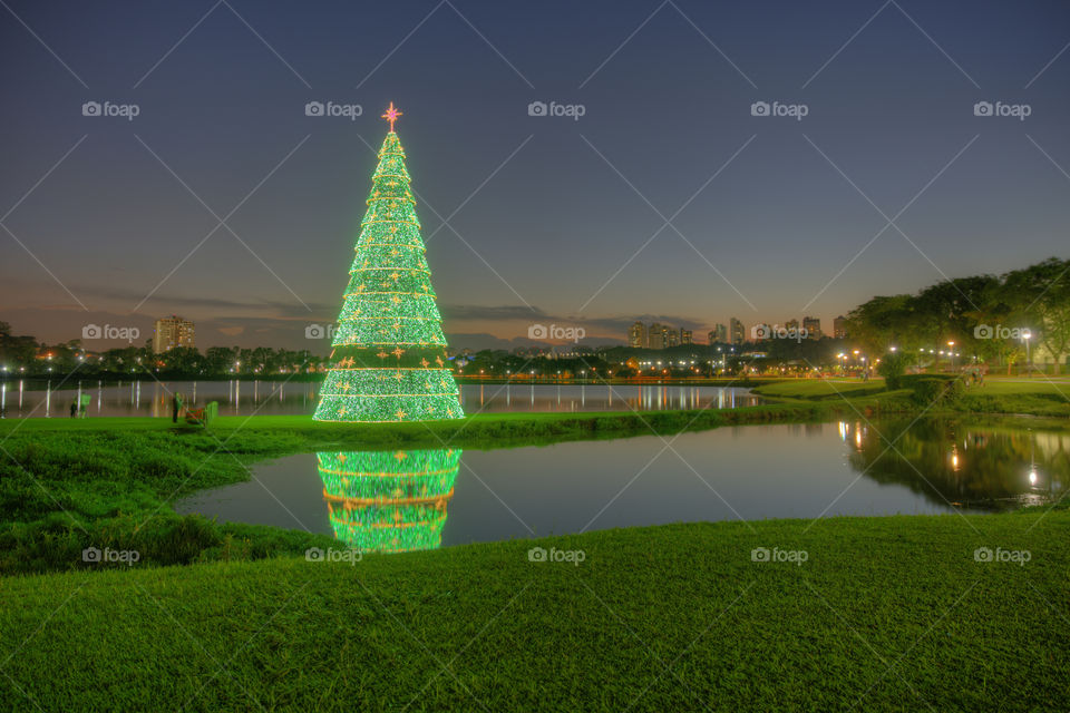 Christmas tree in the Barigui Pak, 2017.