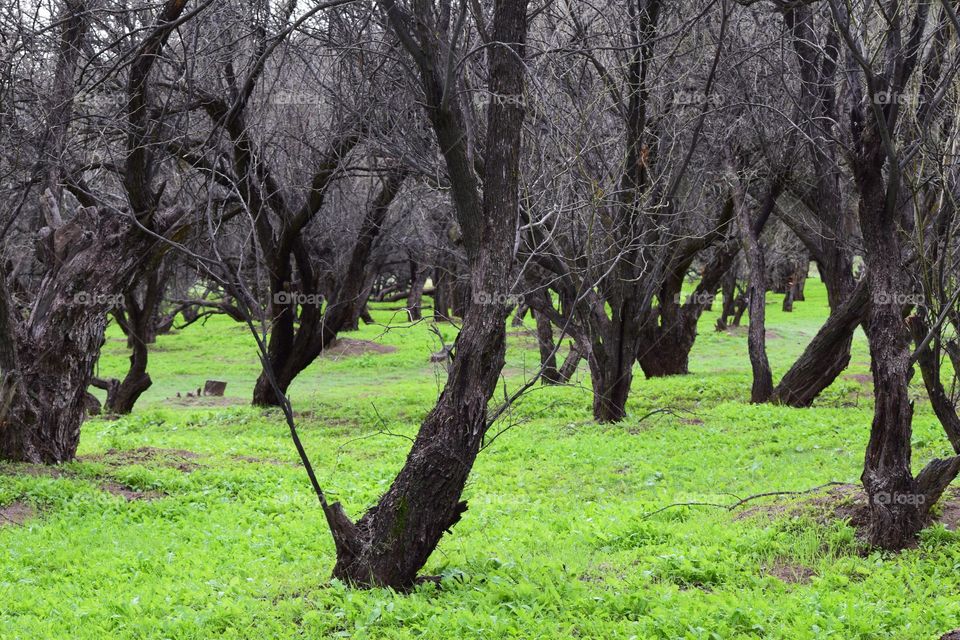It is hard to believe that this was taken in the desert but the Salt River basin near Phoenix Arizona offers incredibly diverse landscapes