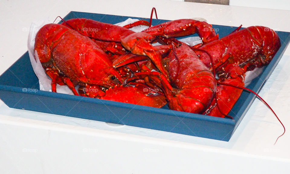 Red boiled lobsters. 