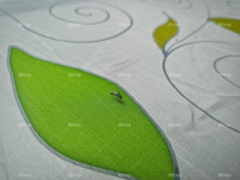 Insect perched on painted leaf