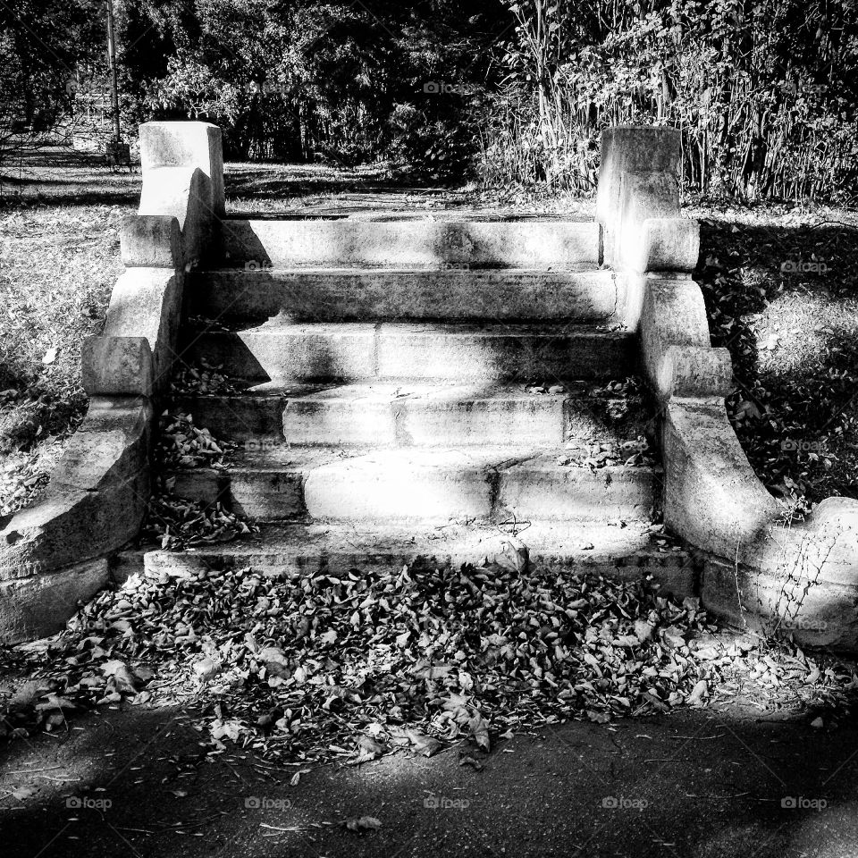 Untitled . Staircase to the grounds of the Rockwood Asylum, Kingston ON