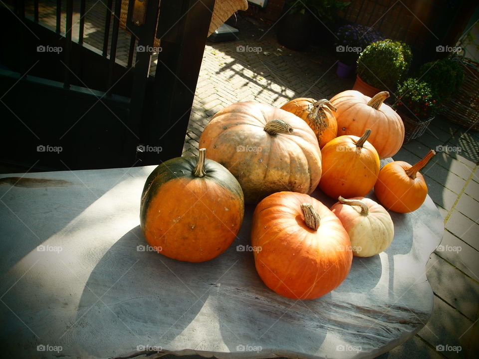 pumpkins. at the roadside in Netherlands