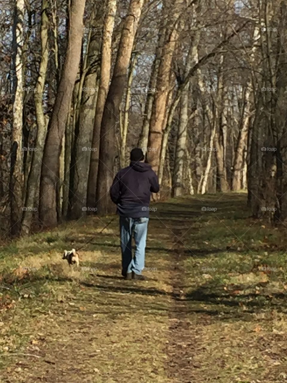 A Walk in the Magical Forest in the thick of the woods near my Ohio home