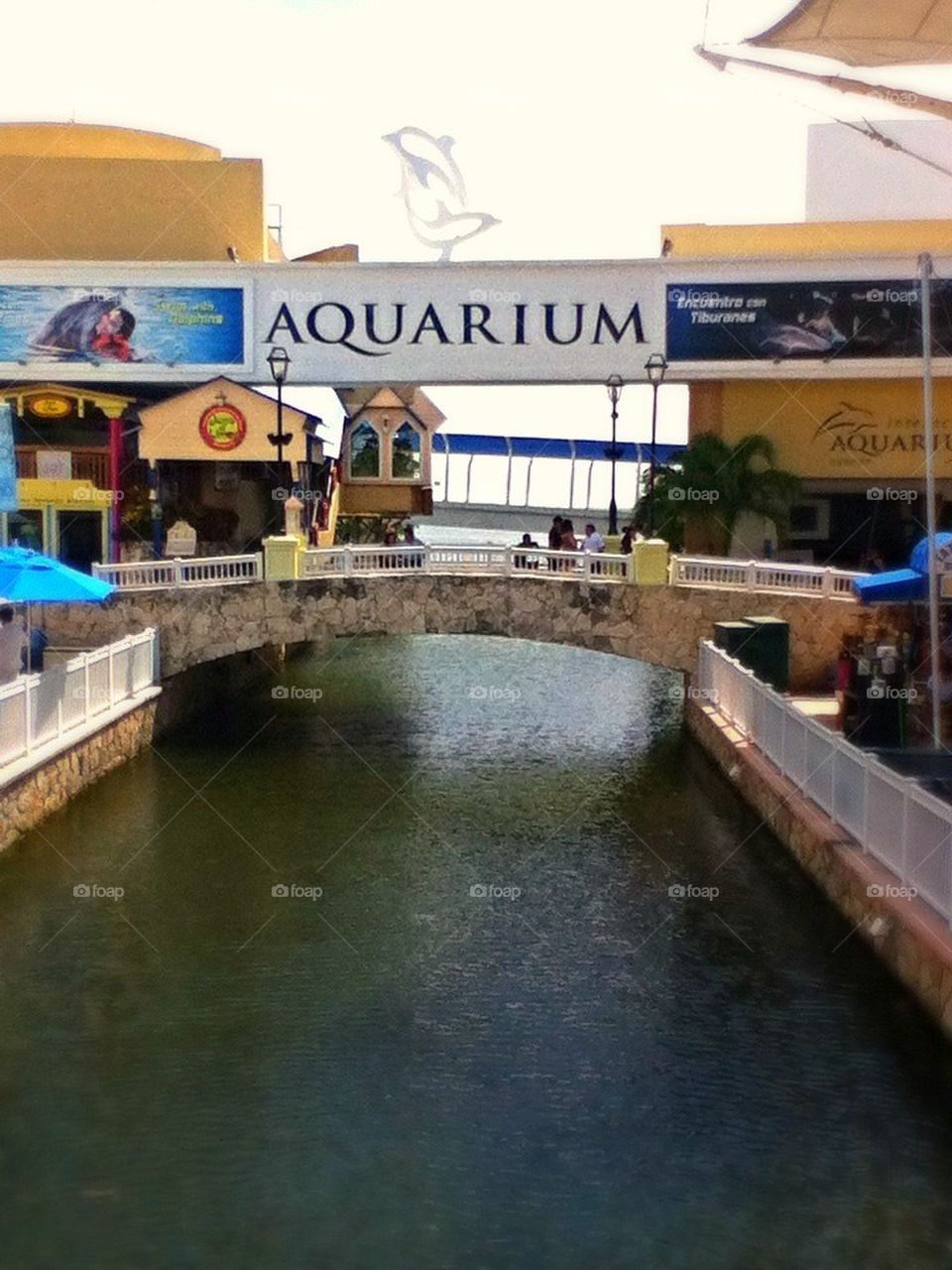 Aquarium Bridge