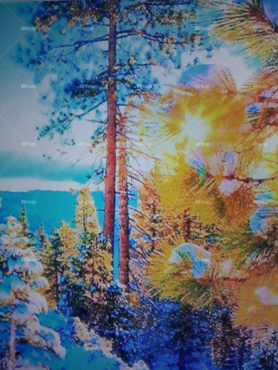 he sun reflects Gold in a part of nature the other side totally bluish in blue colors giving a beautiful contrast in this beautiful photo.