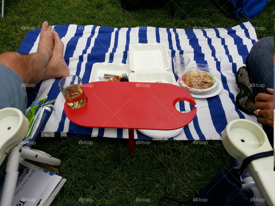 picnic in the park for two