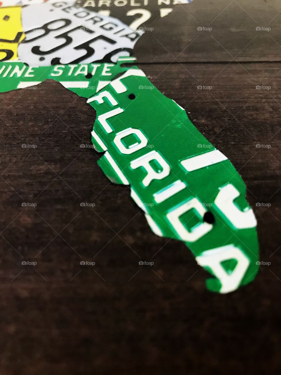 Florida state license plate artwork close up.