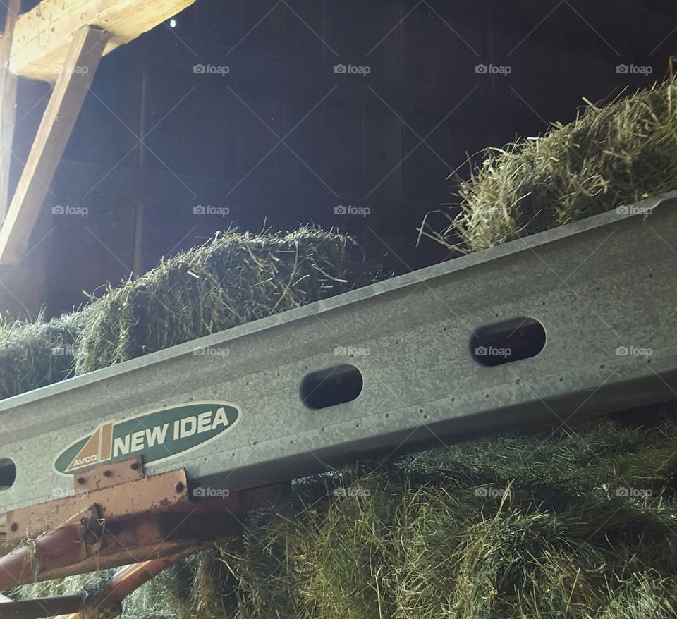 hay elevator