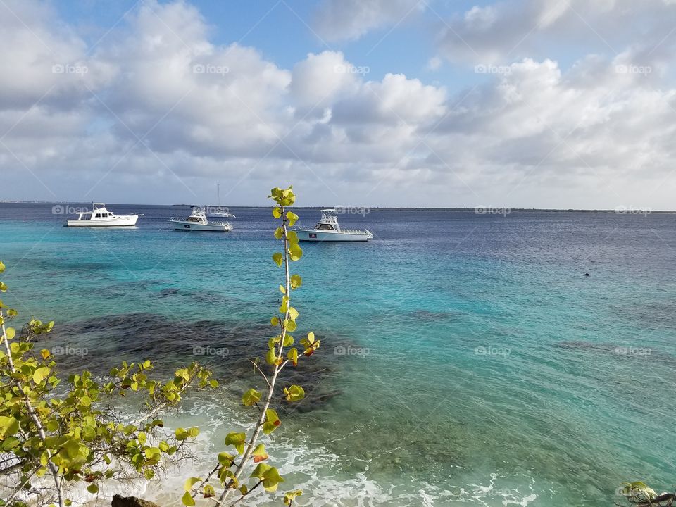 Bonaire