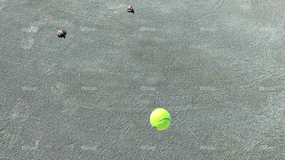 One bouncing tennis ball 