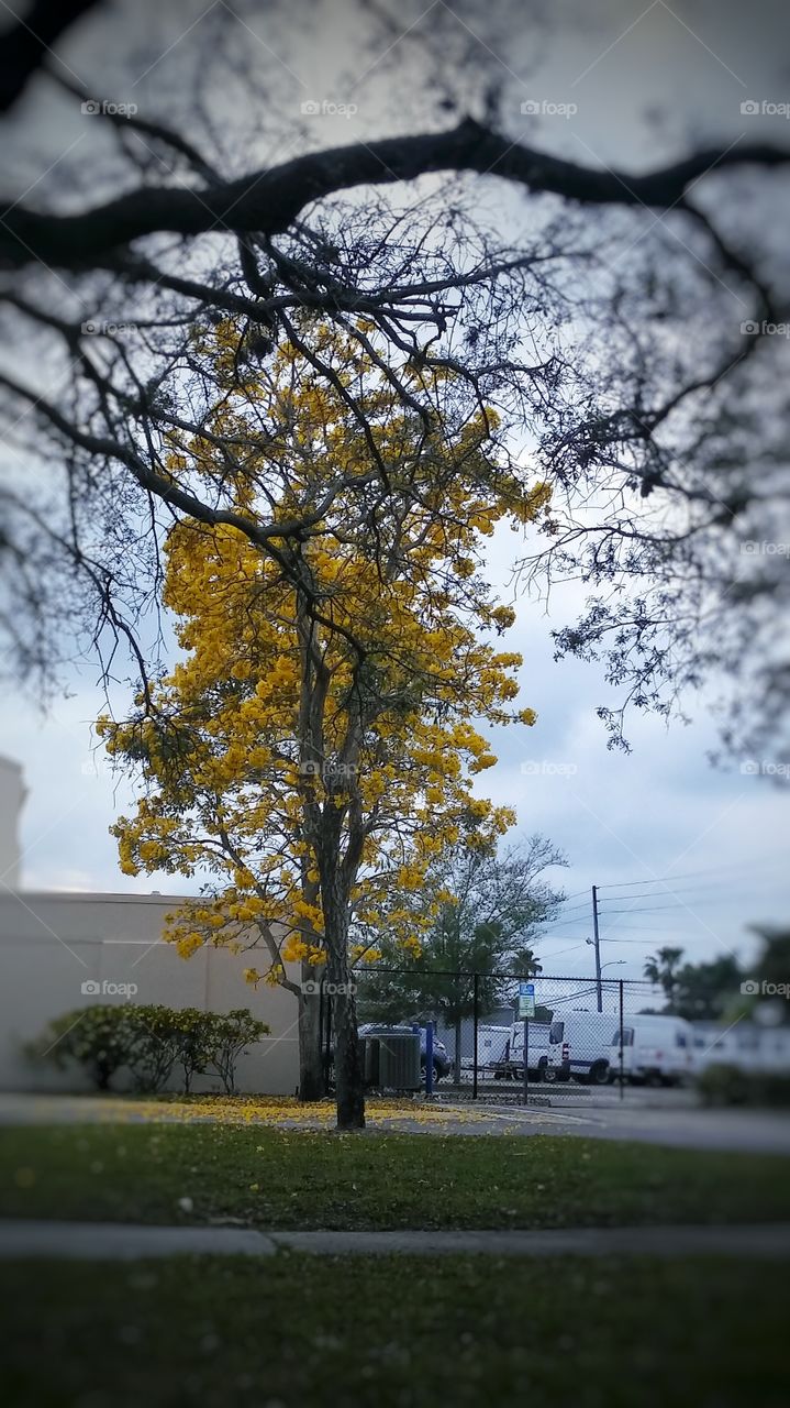 A thursday Afternoon