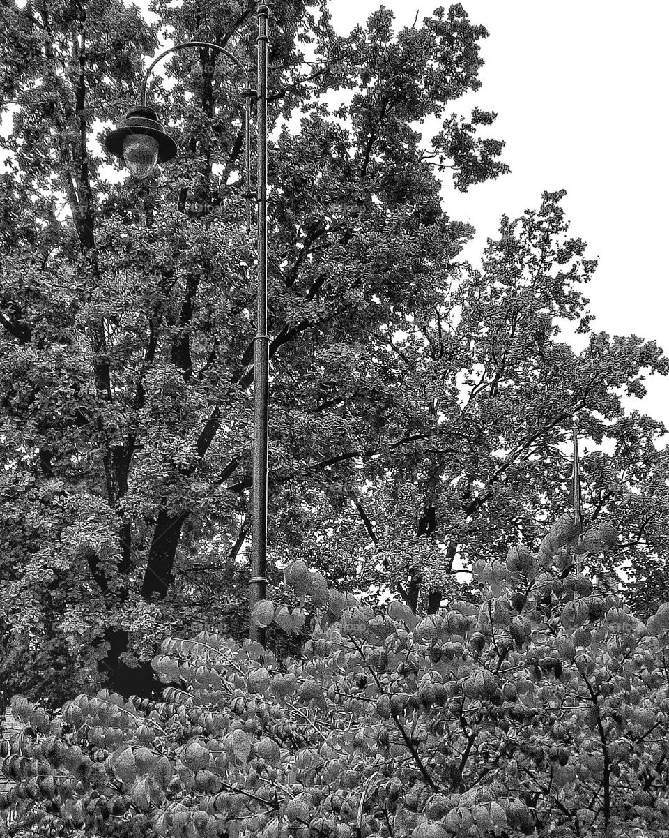 "The most colorful thing in the world is black and white, it contains all colors and at the same time excludes all."
~ Vikrmn, 10 Alone