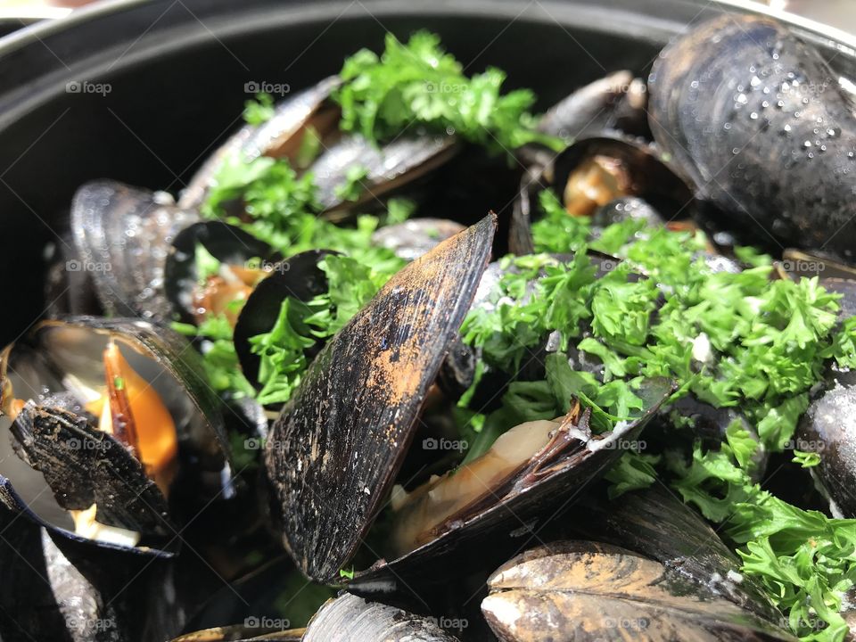 Mussels 